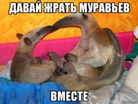 давай жрать муравьев вместе