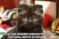  когда твоя любимая команда проигрывает и осталась минута до конца матча