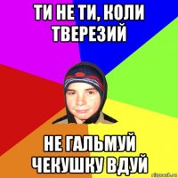 ти не ти, коли тверезий не гальмуй чекушку вдуй
