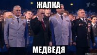 жалка медведя