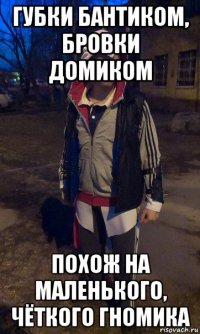губки бантиком, бровки домиком похож на маленького, чёткого гномика