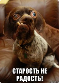  старость не радость!