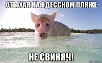 отыхая на одесском пляже не свиняч!