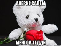 акерке салем менгой тедди
