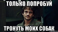 только попробуй тронуть моих собак