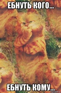 ебнуть кого... ебнуть кому...