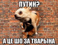 путин? а це шо за тварына