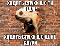 ходять слухи шо ти підар ходять слухи шо це не слухи