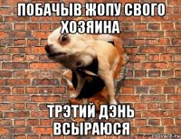 побачыв жопу свого хозяина трэтий дэнь всыраюся