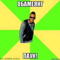 обамеянг паук!
