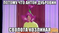 потому что антон дубровин сволота козлиная