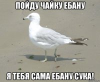 пойду чайку ебану я тебя сама ебану сука!