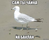 сам ты чайка йа баклан