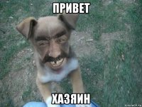 привет хазяин
