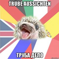 trübe aussichten труба дело