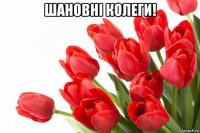 шановні колеги! 