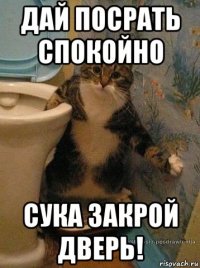 дай посрать спокойно сука закрой дверь!