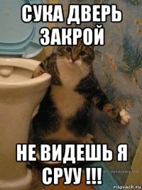 сука дверь закрой не видешь я сруу !!!