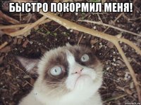 быстро покормил меня! 