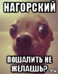 нагорский пошалить не желаешь?