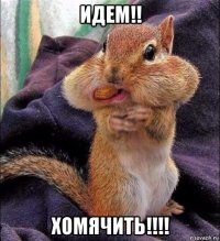идем!! хомячить!!!!