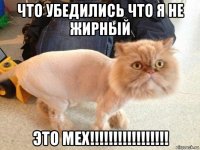 что убедились что я не жирный это мех!!!!!!!!!!!!!!!!!