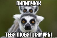 пилипчюк тебя любят лямуры