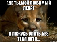 где ты,мой любимый лев?! я ложусь опять без тебя,котя...