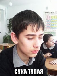  сука тупая