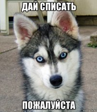 дай списать пожалуйста