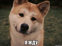  я жду
