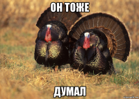 он тоже думал