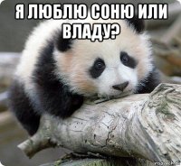 я люблю соню или владу? 