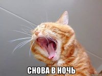  снова в ночь