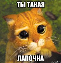 ты такая лапочка