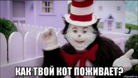  как твой кот поживает?