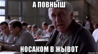 а повныш носаком в жывот