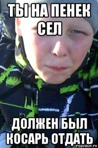 ты на пенек сел должен был косарь отдать