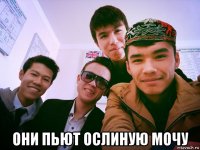  они пьют ослиную мочу