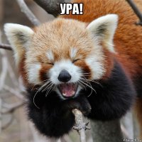 ура! 