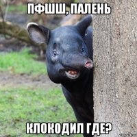 пфшш, палень клокодил где?