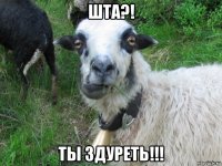 шта?! ты здуреть!!!