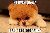 не кури да-да ета я твоя собачка