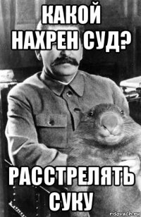 какой нахрен суд? расстрелять суку
