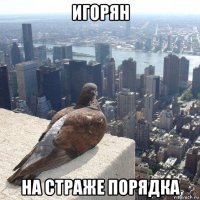 игорян на страже порядка