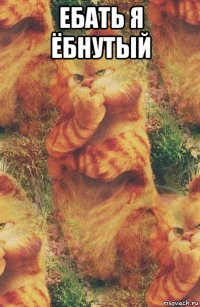 ебать я ёбнутый 