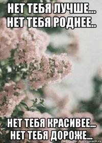 нет тебя лучше... нет тебя роднее.. нет тебя красивее... нет тебя дороже...
