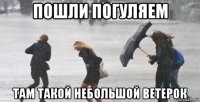 пошли погуляем там такой небольшой ветерок
