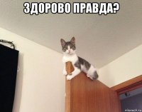 здорово правда? 