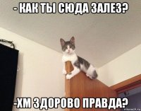 - как ты сюда залез? -хм здорово правда?